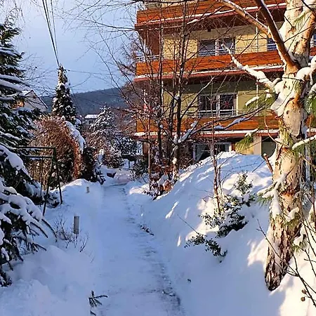 Couette-café Pod Aniolem - Goscinne & Z Widokiem Na Gory 3*
