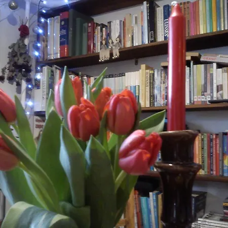 Pod Aniolem - Goscinne & Z Widokiem Na Gory