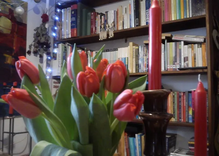 Pod Aniolem - Goscinne & Z Widokiem Na Gory